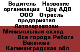 Водитель › Название организации ­ Цру АДВ777, ООО › Отрасль предприятия ­ Автоперевозки › Минимальный оклад ­ 110 000 - Все города Работа » Вакансии   . Калининградская обл.,Приморск г.